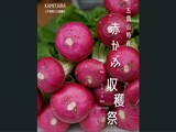 １１/１３．１５　「五箇山特産　赤かぶ収穫祭」開催しました！