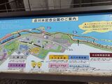 🚙南砺市近隣の足湯スポット・鯉恋の宮・庄川ウッドプラザ行ってきました♨
