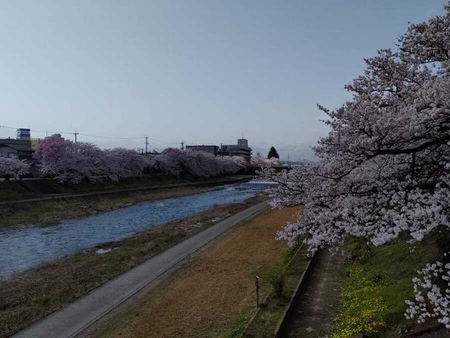 福光地域の千本桜と言われる小矢部川沿いにある施設