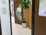 センターの観葉植物🌼