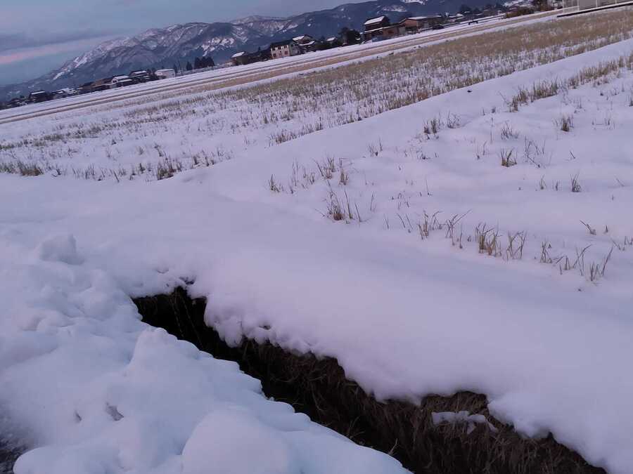 田んぼが雪に覆われました。