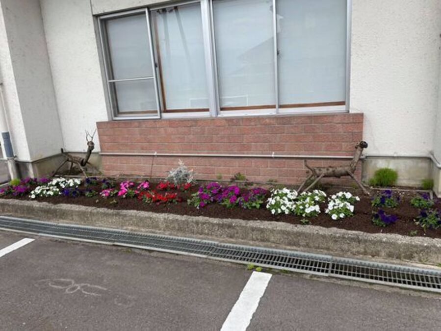 北山田の花壇🌼お花も綺麗で木の犬の置物が可愛いです♥
