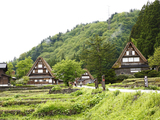 ふるさと回帰フェアってご存知ですか？