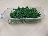 収穫できました(^^)/