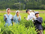 【南砺市】南砺ひととみらい協同組合のお仕事紹介　ZOOM説明会のご案内