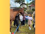 10/29(日) 《馬ふれあいイベント🐴🐴🐴》のご報告