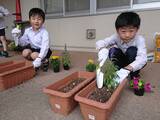 利賀子ども広場　花植え作業